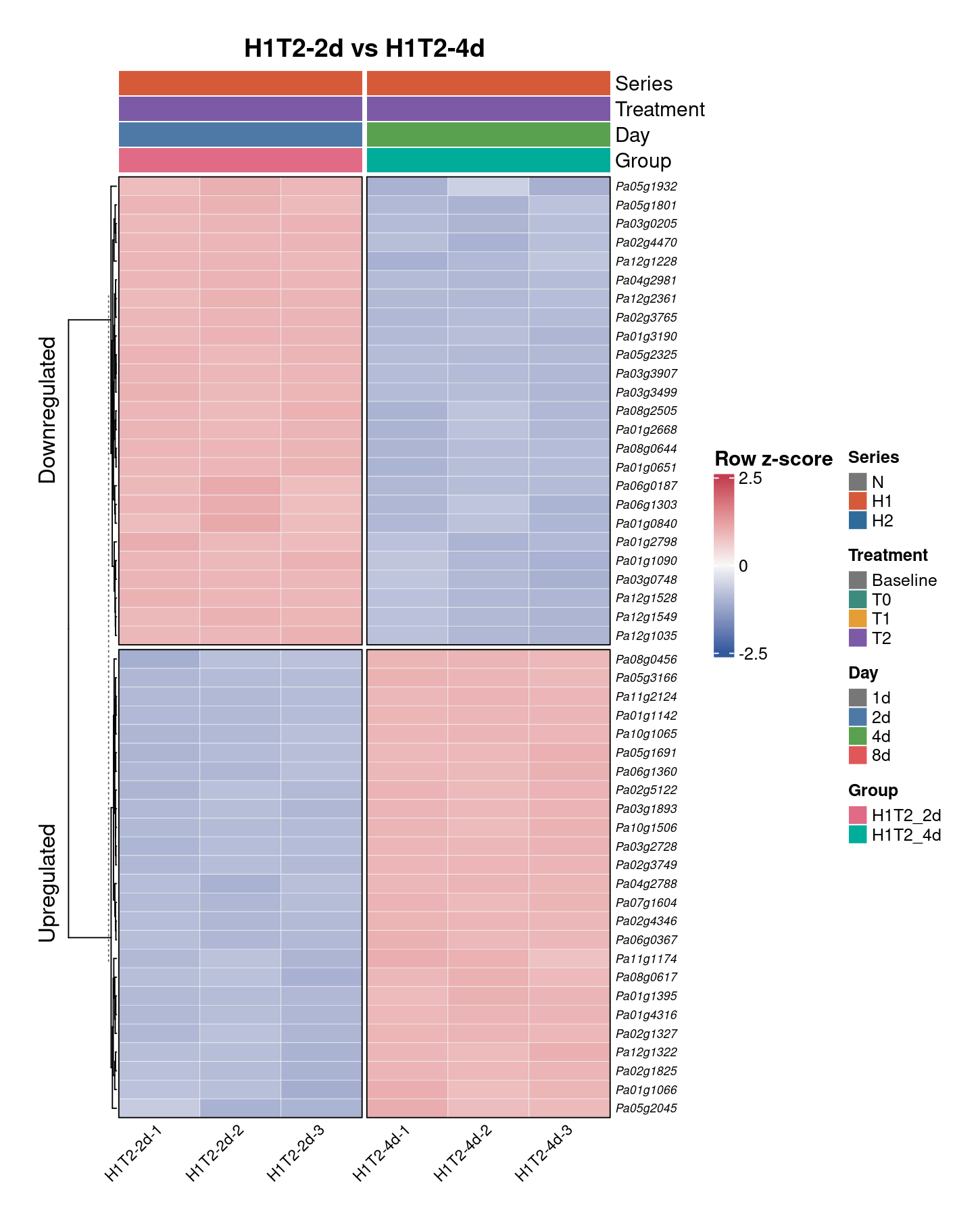 H1T2-2d vs H1T2-4d — top DEG heatmap